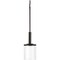 Progress Lighting Mast Collection One-Light Mini-Pendant P500192-020 - alternate 3